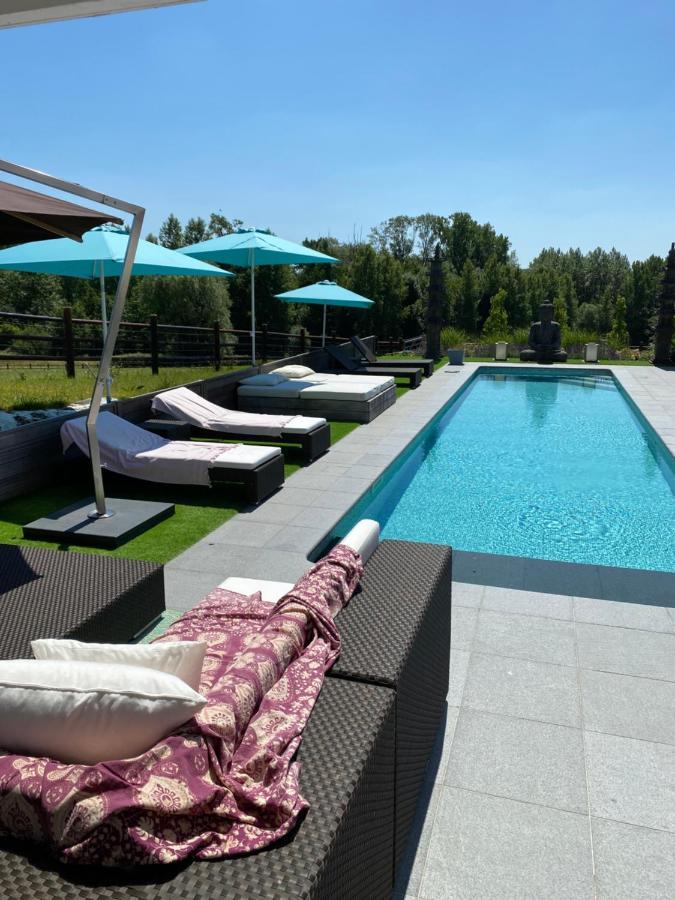 B&B La Douceur de la Miclette Ellezelles Extérieur photo